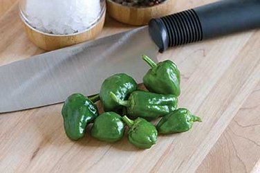 Padron