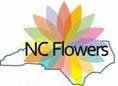 nccfga.org